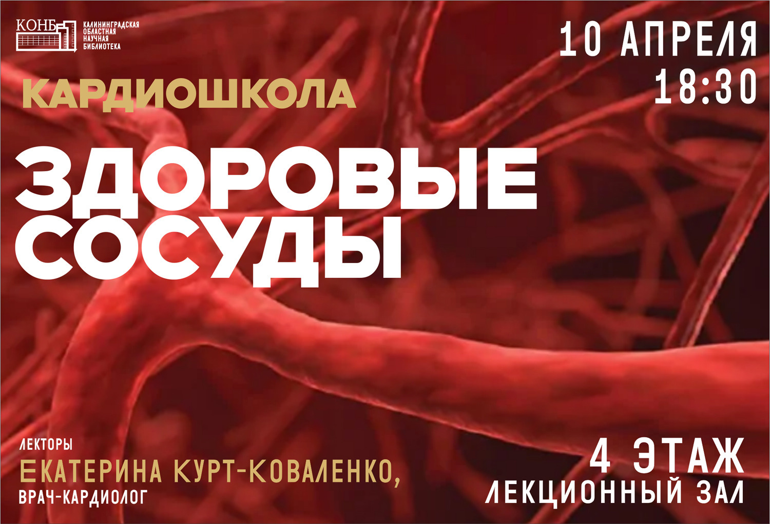 Кардиошкола