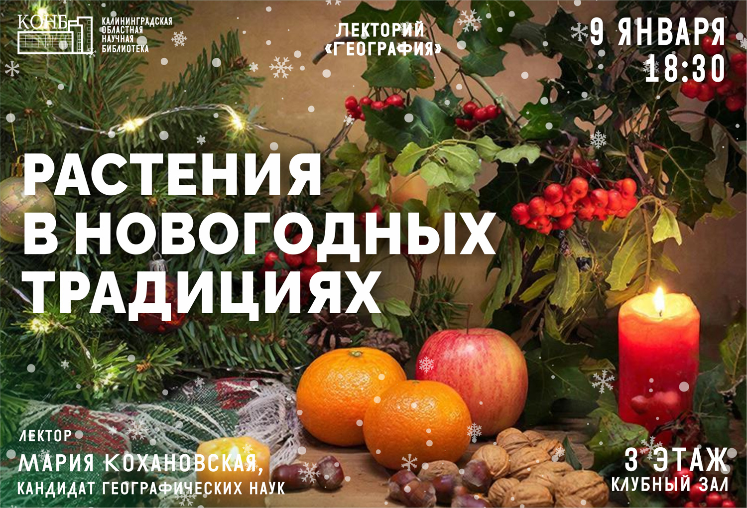 Растения в новогодних традициях