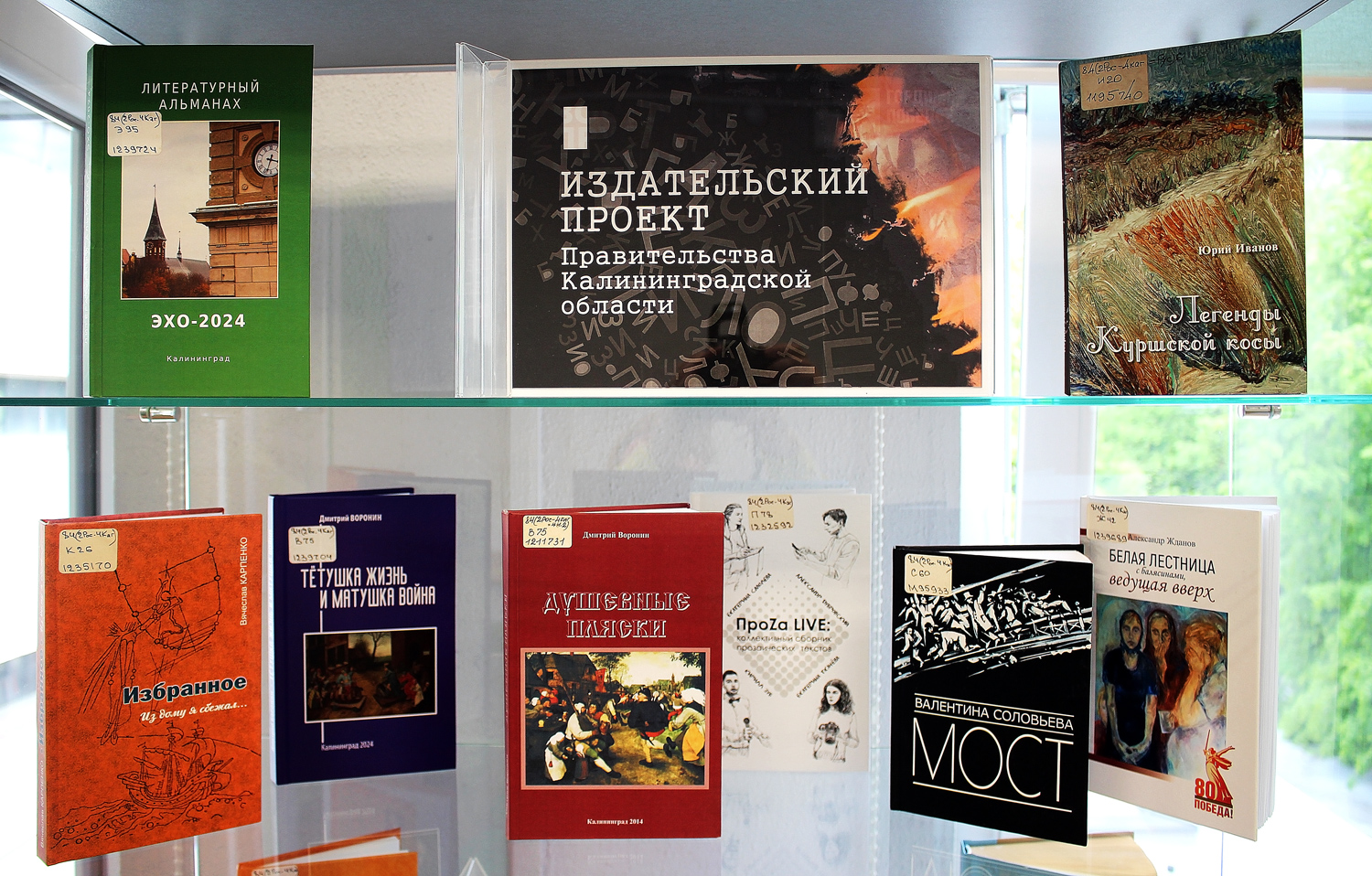 Издательский проект