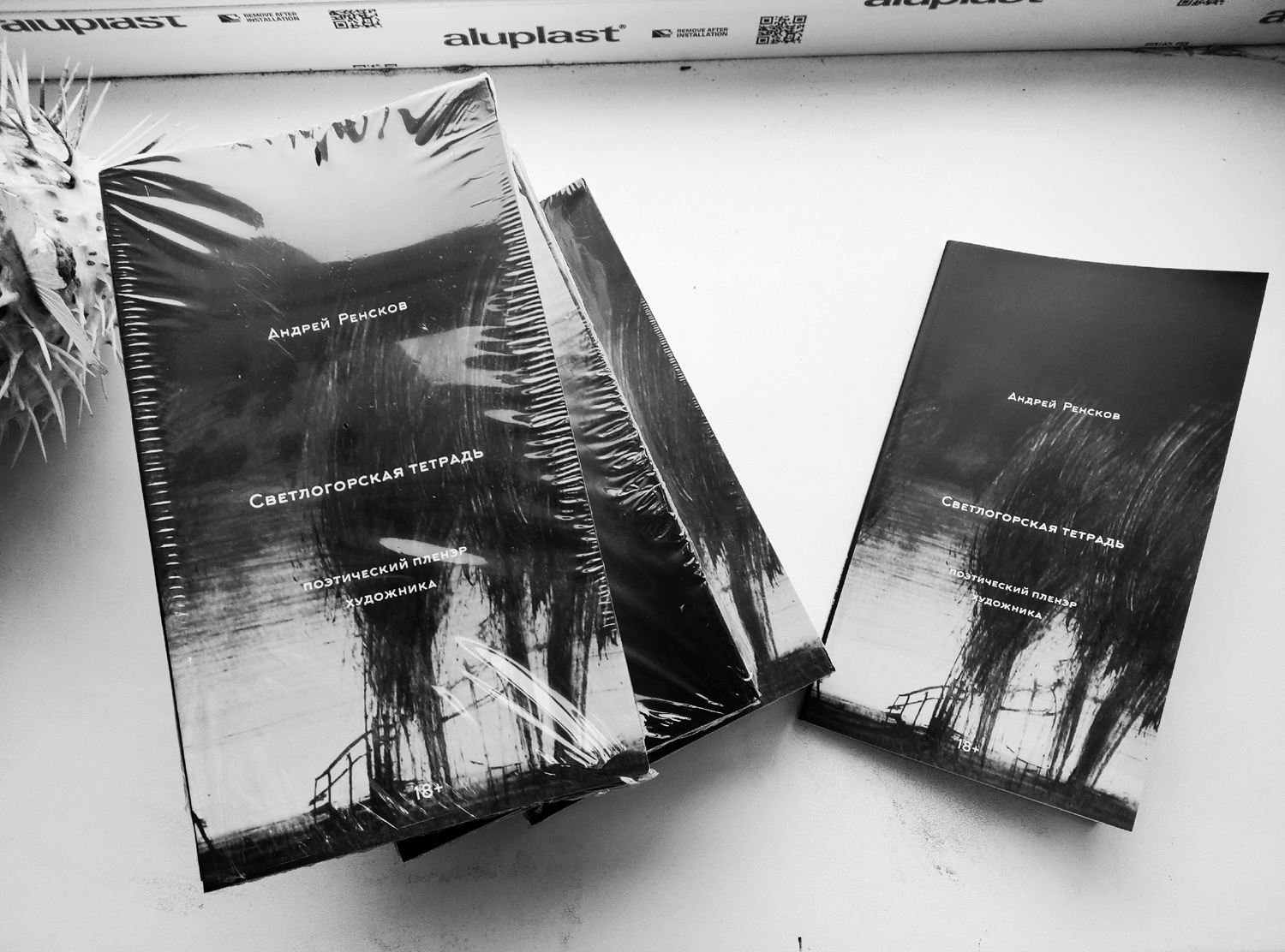 Светлогорская тетрадь