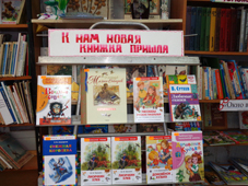В Янтарной городской библиотеке организована выставка-просмотр новой литературы