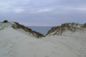 Дорога к морю (Хацевич А.)