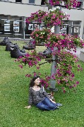 _DSC0024.JPG