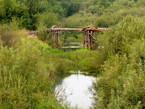Фото Романенко Дмитрия