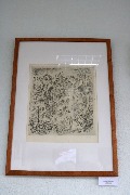 IMG_4936.jpg