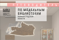 Путешествие по модельным библиотекам Калининградской области