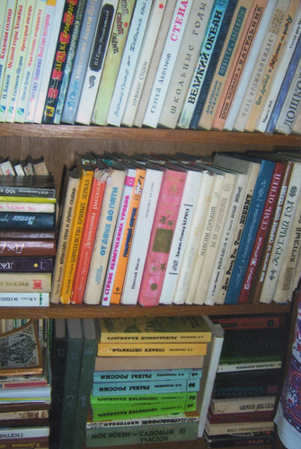 Книги в моем доме