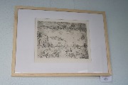 IMG_4938.jpg