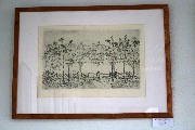 IMG_4940.jpg