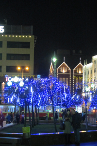 Новогодние огни города (Ламейко С.)