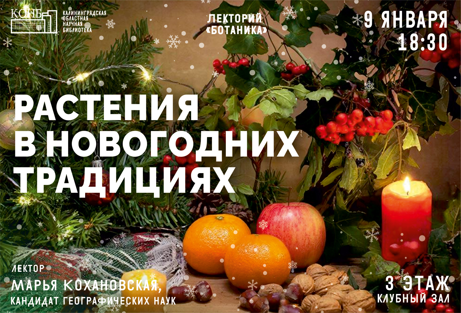 Растения в новогодних традициях