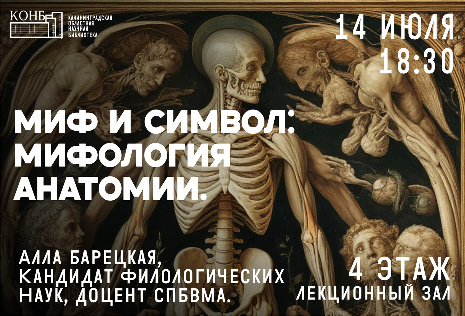 Вертикаль