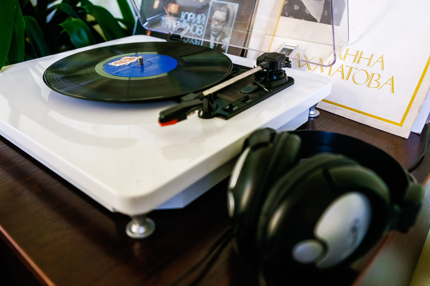 Голоса любимых поэтов сквозь время