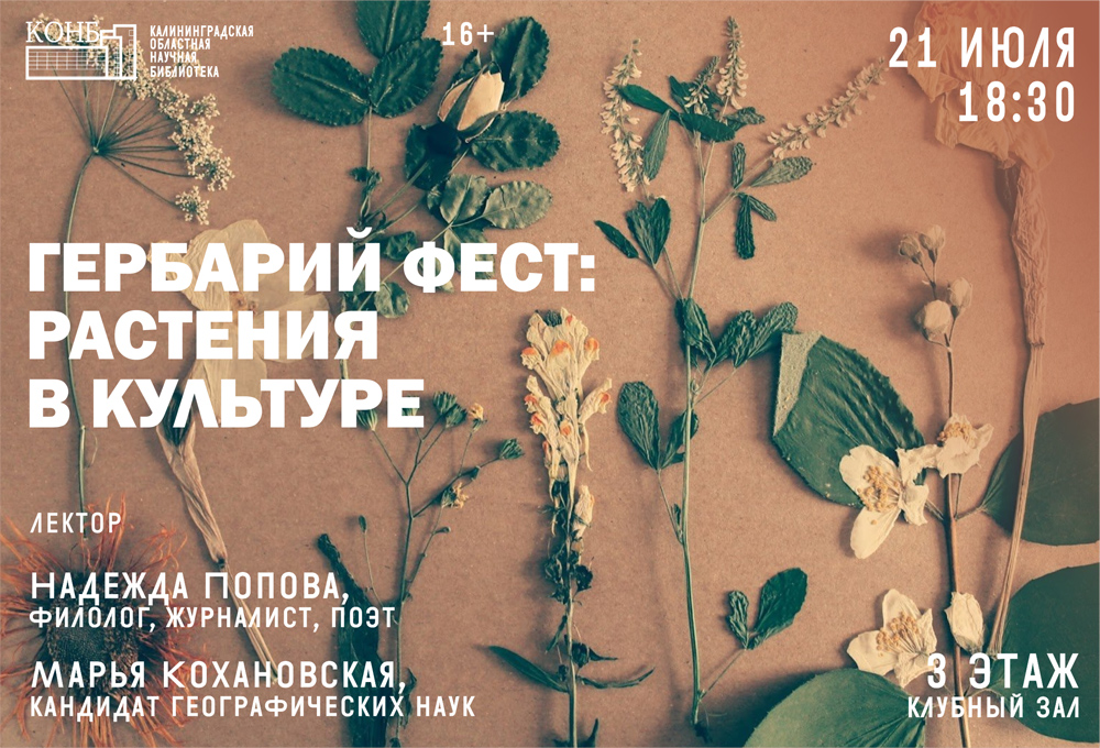 Гербарий фест