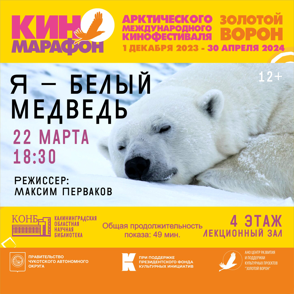 Я – белый медведь