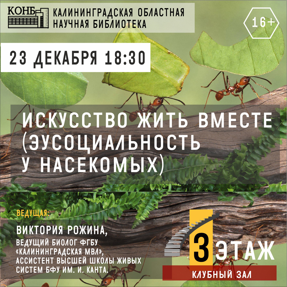 Муравьи-листорезы