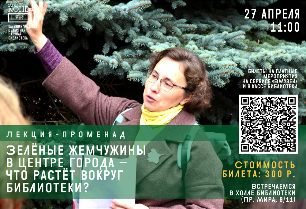 Зелёные жемчужины в центре города – что растёт вокруг библиотеки?