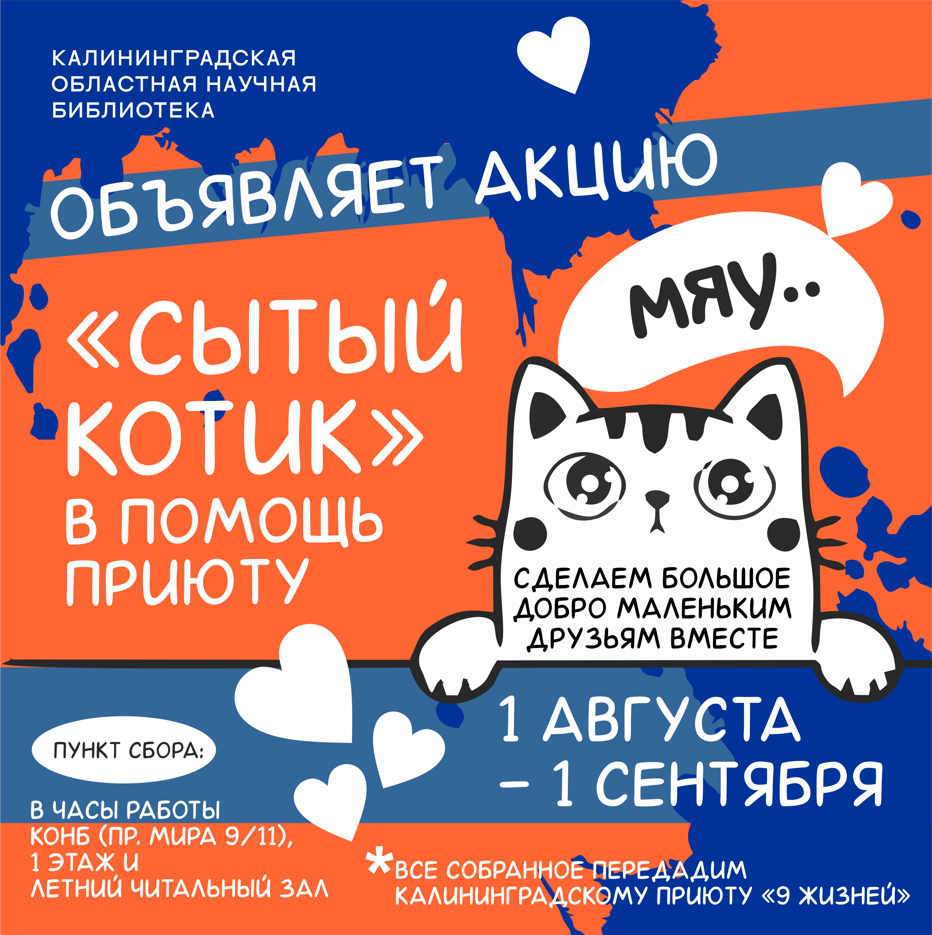 Сытый котик