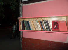 Розовая полка на Ленинском проспекте, 35