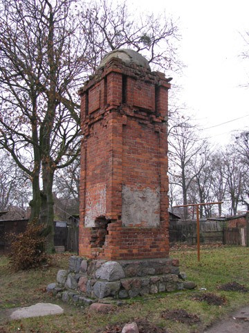 81