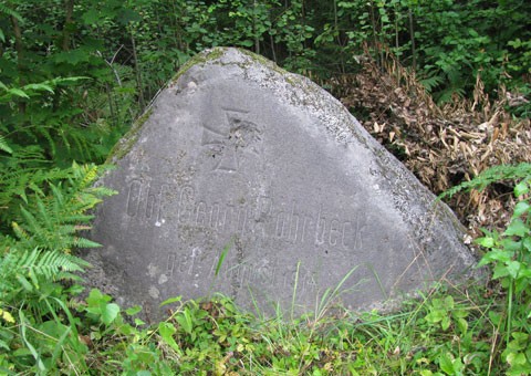 80