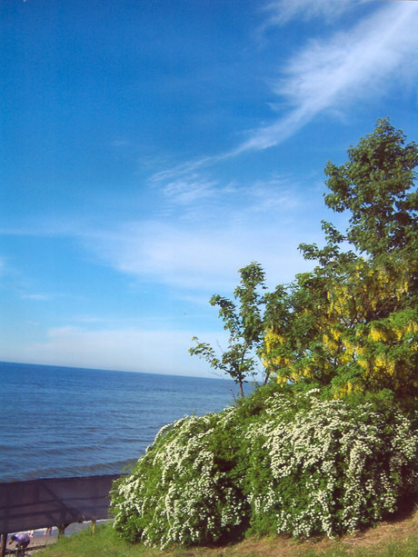 Спуск к морю (Филатова С.Н.)