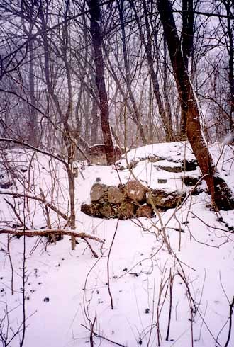 51