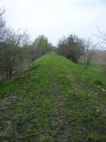 36