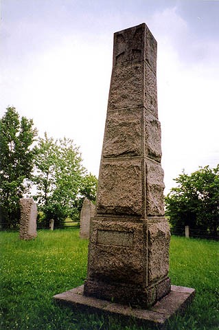 46
