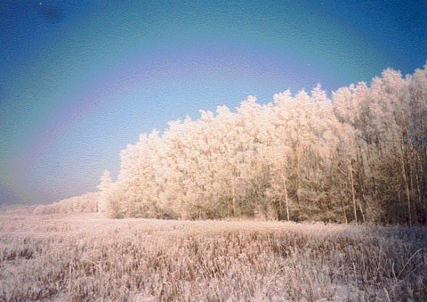 53
