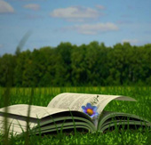 С книгой в отпуск
